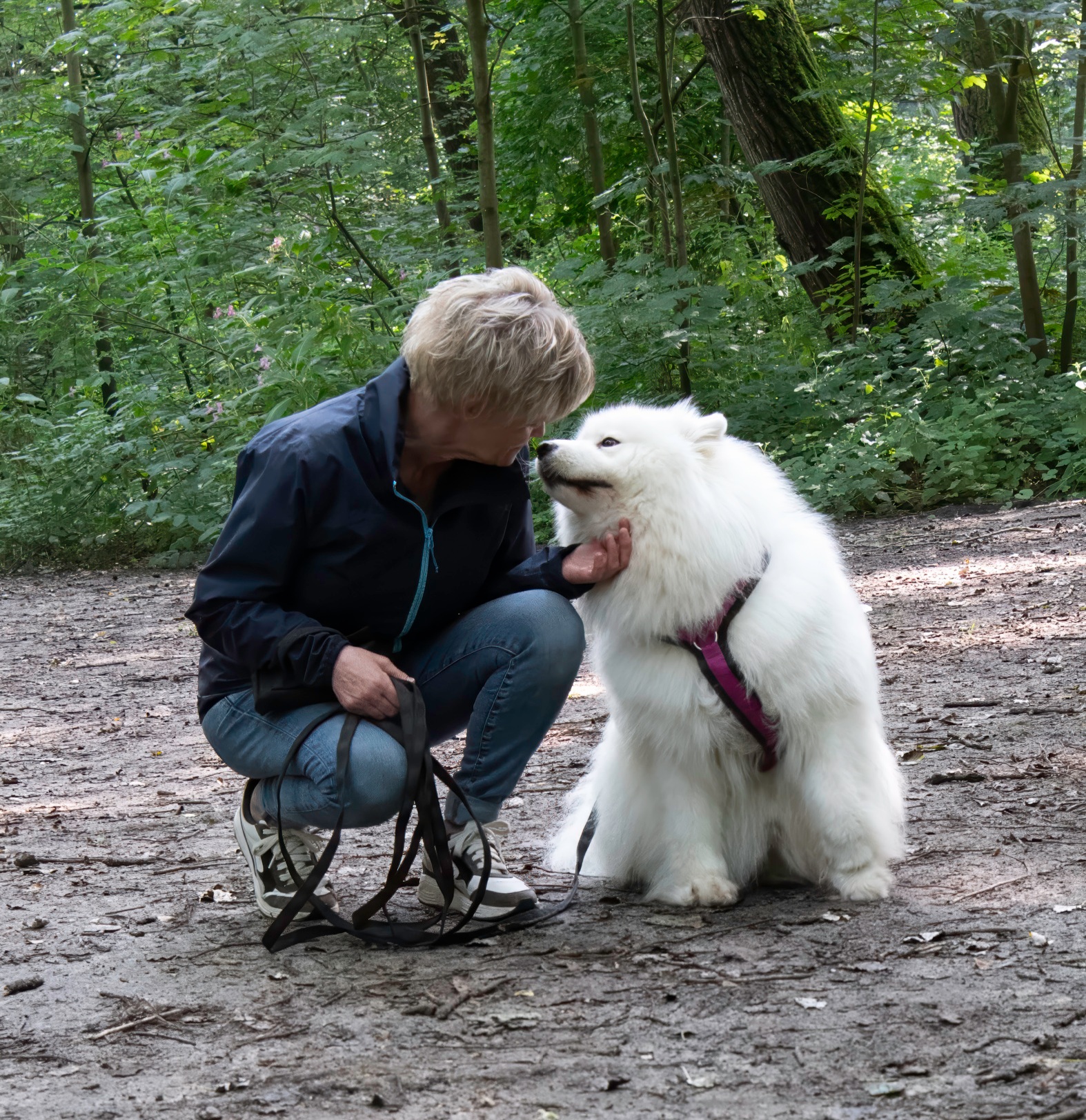persoonlijke begeleiding hond gedrag