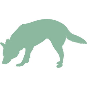98c99a52-70f5-4b99-b9f2-7bbe9a4656a6.png (35)